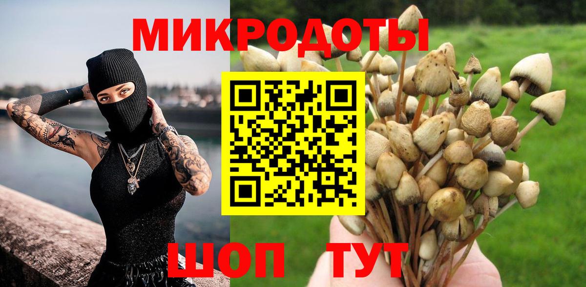 Галлюциногенные грибы мухоморы Трёхгорный